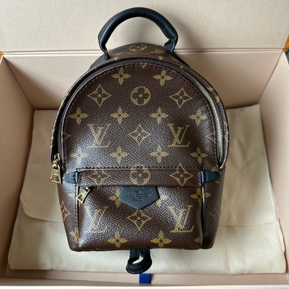 Louis Vuitton Palm Springs Mini - Picture 3 of 9